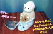 �n���X�^�[�l�`