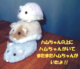 �n���X�^�[�l�`
