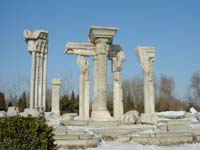 ���̎B�����k���̎ʐ^�W