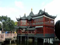 ���̎B������C�̎ʐ^�W