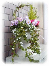 �p���W�[�C�~�j�V�N�������C�o�R�p�C�A�C�r�[�C�S�[���h�N���X�g�̊񂹐A��