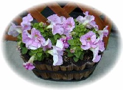 �y�`���j�A