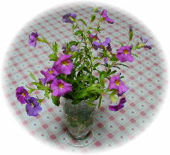 �����J�t�H�[��