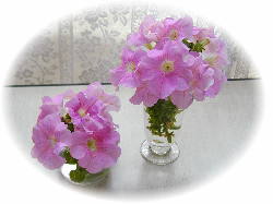 �y�`���j�A