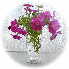 �T�t�B�j�A