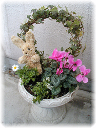 �A�C�r�[�C�S�[���h�N���X�g�C�V�N�������C�A���b�T���C�m�[�X�|�[���̊񂹐A��