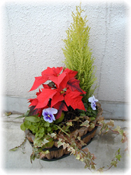 �A�C�r�[�C�S�[���h�N���X�g�C�|�C���Z�`�A�C�p���W�[�̊񂹐A��