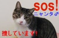�o�i�[