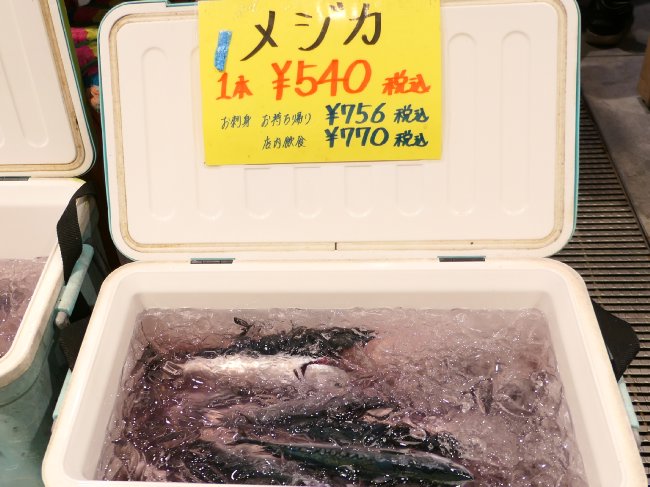 メジカ