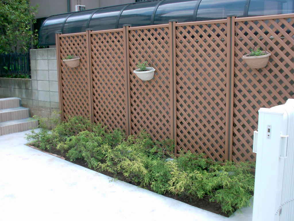 ���Ă͂��䂗�@