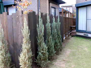 ����j�t�@