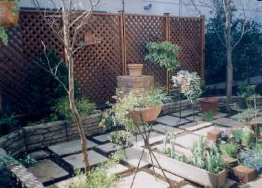 TOEX�E�b�h�p�[�e�B�V����