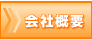 ЊTv
