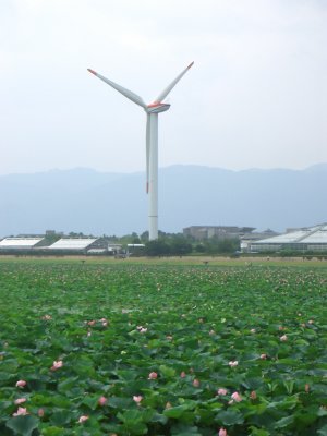 草津の風車
