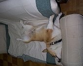 ��ꂽ�[�[�[