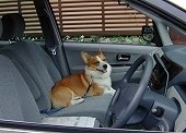 �����s������