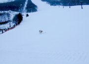 �Q�����f�̓I���̂��̂��[�I�I