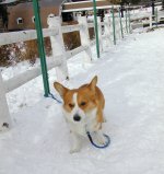 �ʐ^�͂������瑁���V�ځ[��I