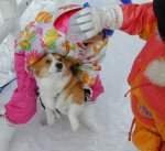 �x����A�����V�ڂ�