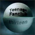 TEENAGE FANCLUB / THRTEEN
