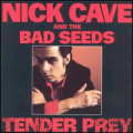 NICK CAVE & THE BAD SEEDS / TENDER PREY