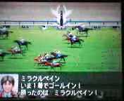 ちなみにミラクルペインもウチの馬