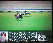 ファレノシプスの鞍上は誰だ?(w
