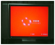 判りやすいよう縁だけつけました